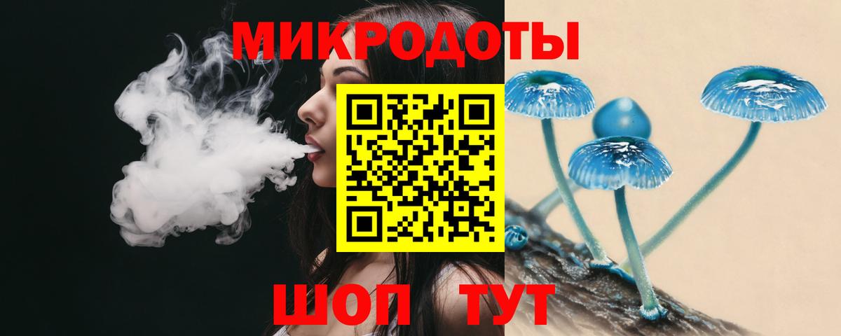 Симферополь  Псилоцибиновые грибы Cubensis  Вход с VPN 